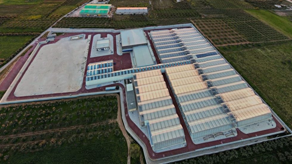 Tikun Olam Europe